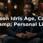 Damson Idris Age, Career, and Personal Life